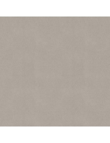 Toile Beige en acrylique de...