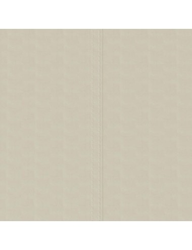 Toile Beige en polyester de...