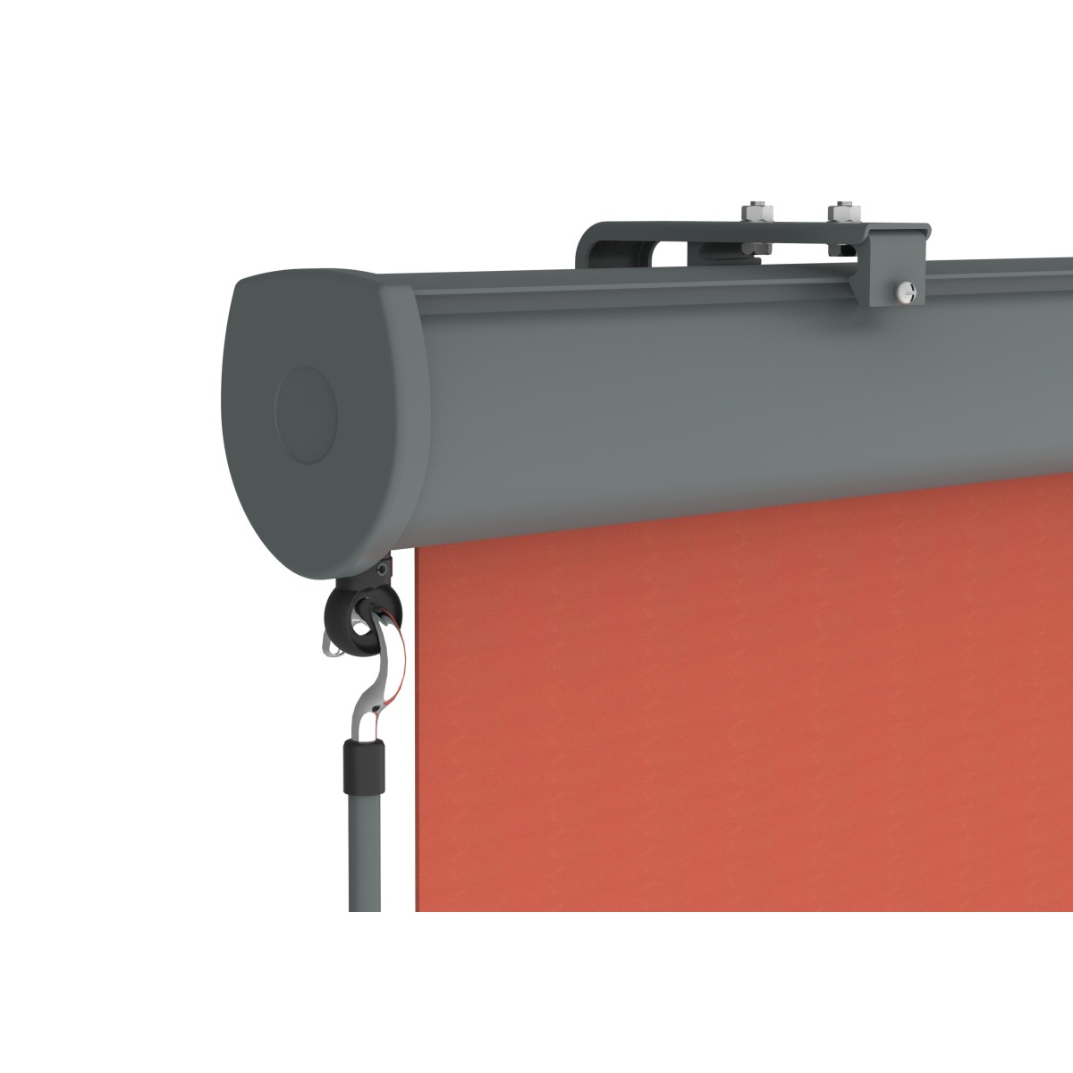 Canopée Store Vertical Rétractable avec Coffre et Manivelle